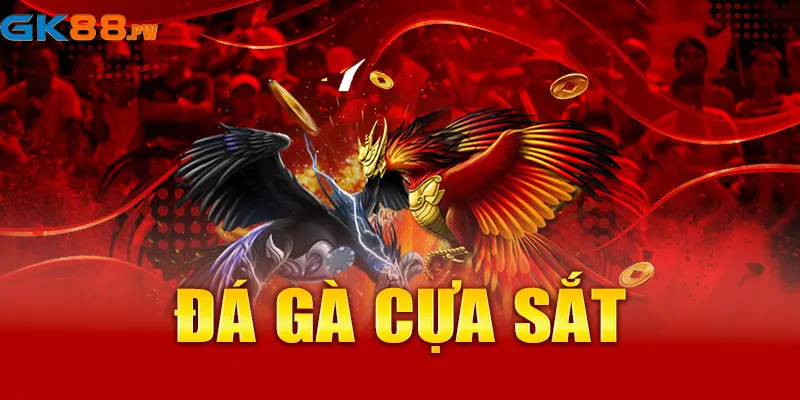 Đá gà cựa sắt