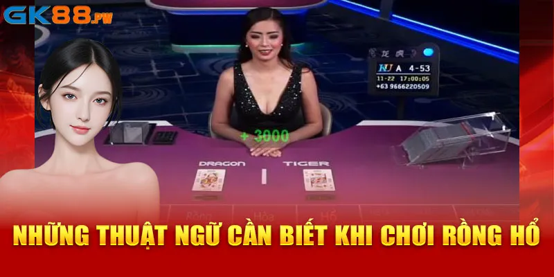 Những thuật ngữ cần biết khi chơi rồng hổ