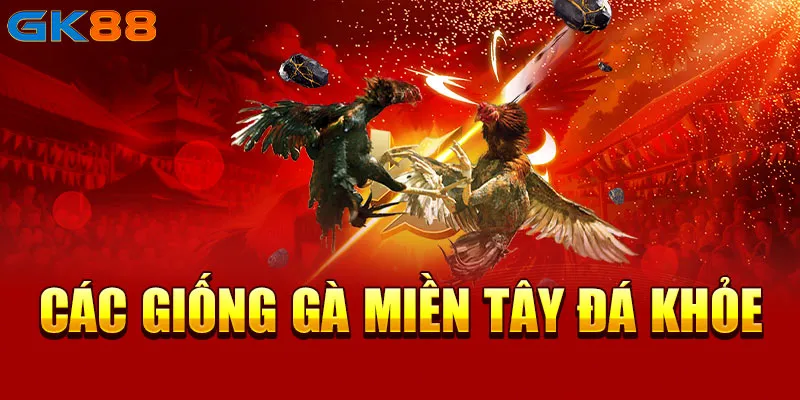 Các giống gà miền Tây đá khỏe