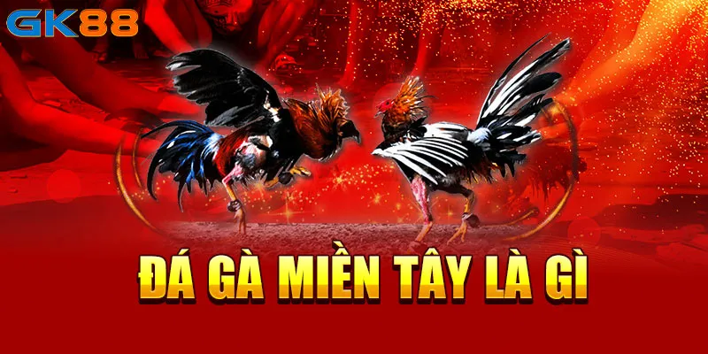 Đá gà miền Tây là gì